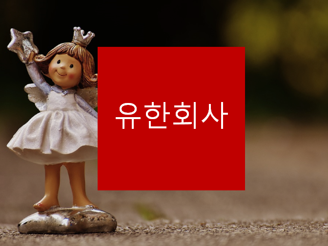  유한회사 설립 절차 보고가세요!!