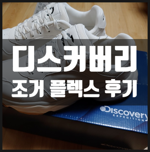  조거 플렉스 디스커버리 (Discovery) 신발 구입 후기 (어글리슈즈)