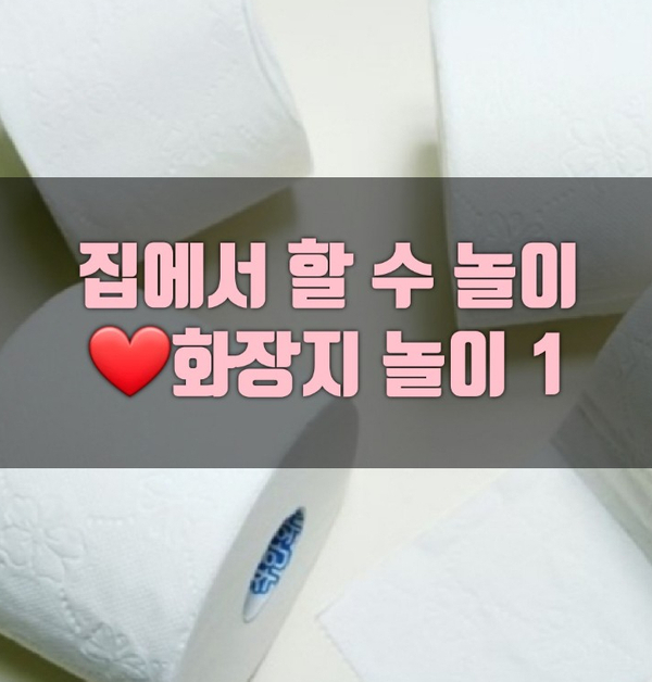  집에서 할 수 있는 놀이'화장지1'