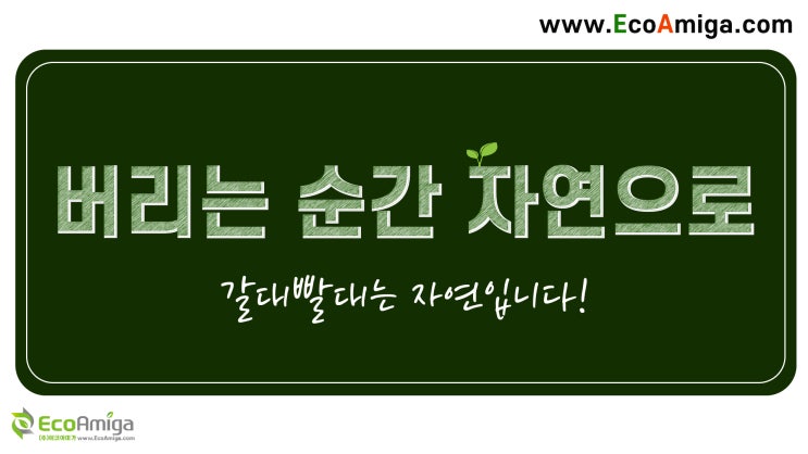  에코아미가 갈대빨대