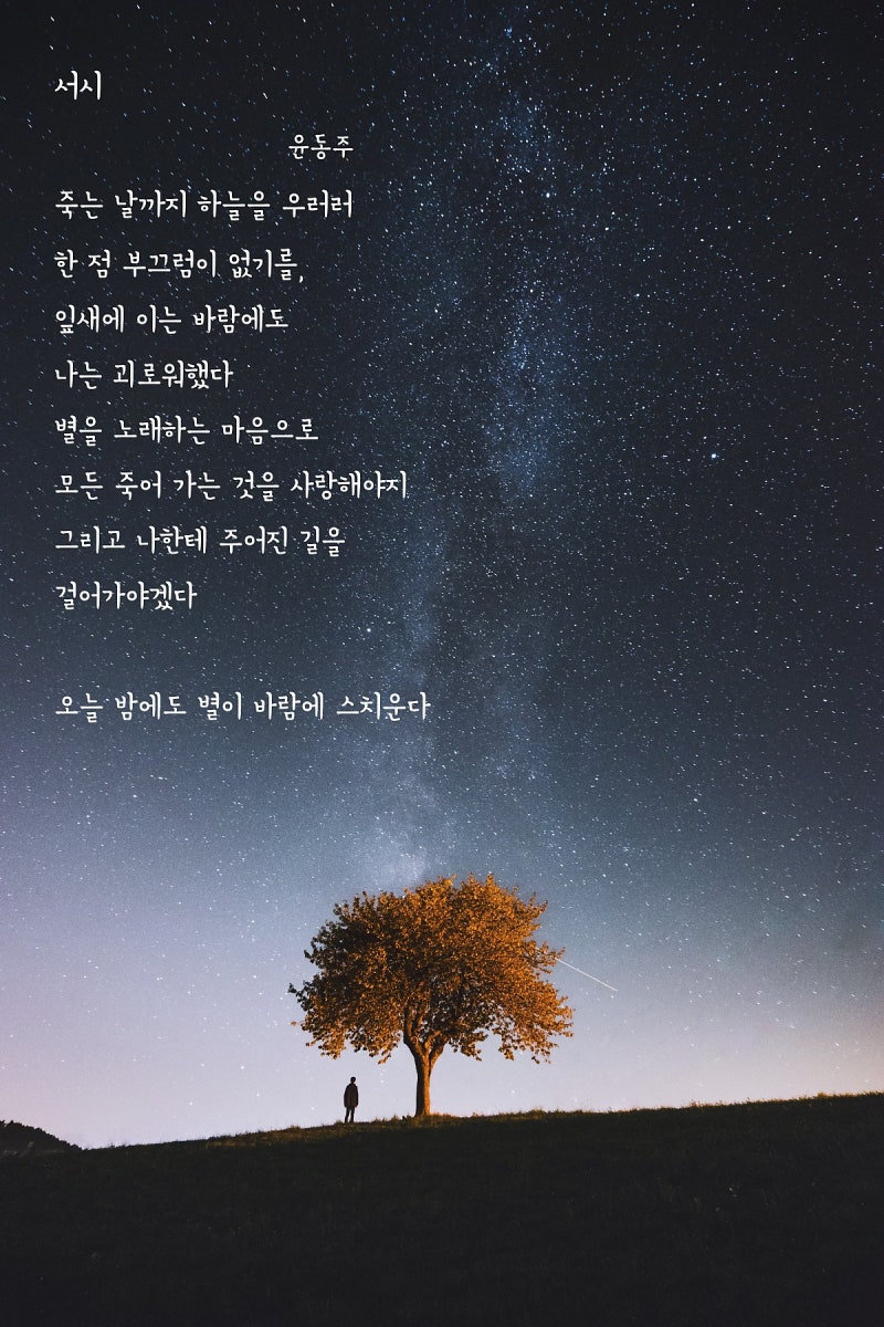 윤동주 하늘과 바람과 별과 시 서시 쉽게 씌어진 시 자화상 참회록 십자가 별 헤는 밤 바람이 불어 소년 꿈은 깨어지고 또 다른 고향 뮤지컬 달을 쏘다 네이버 블로그