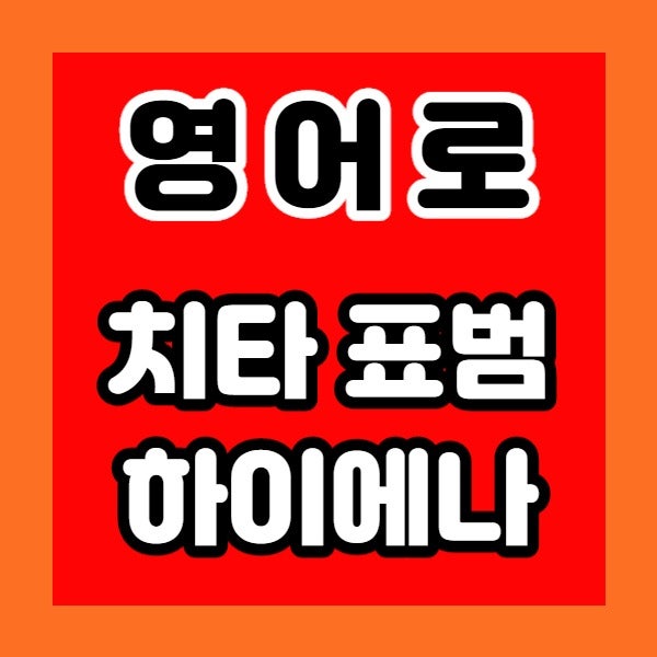 치타 영어로 표범 재규어 하이에나 (하이애나)
