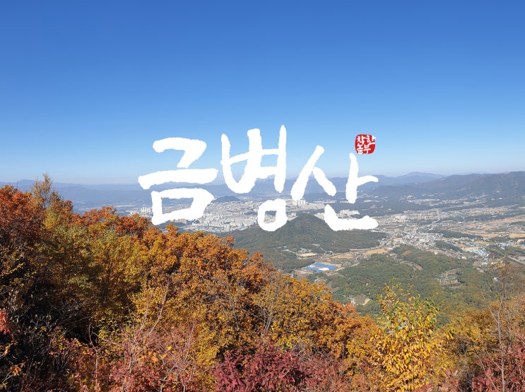  춘천 금병산(김유정문학촌 주차장→실레이야기길→잣나무숲→동백꽃길→금병산정상→산골나그네길→금병초등학교→김유정역→주차장)