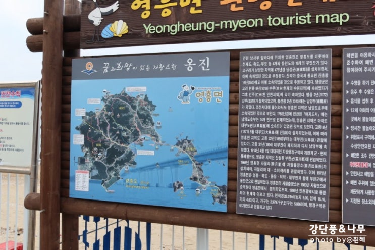  인천 옹진 십리포 애견동반 당일치기 여행하기