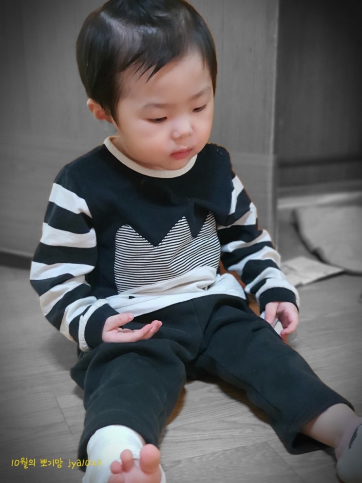  쭈니의 농촌적응기