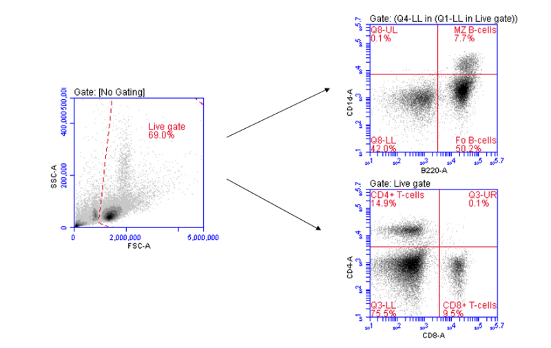 Flow Cytometry(FCM/FACS)로 비장세포 속 B세포/T세포 분석 : 네이버 블로그
