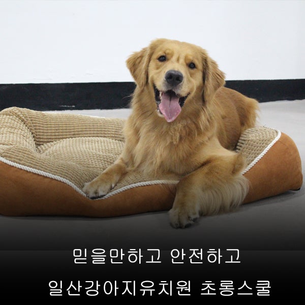 사진 3