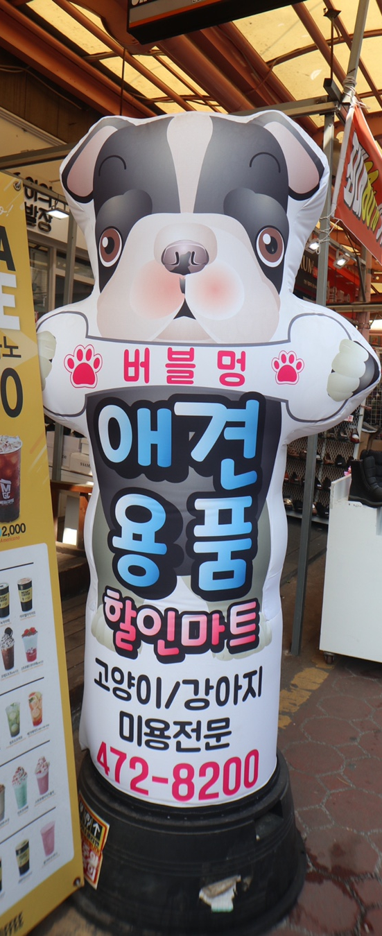  구월동애견용품점 버블멍 추천