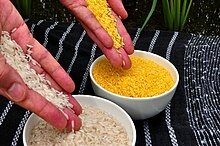  GMO 유해성 논란 (1): gmo 작물의 유해성이 실험으로 검증되었다?