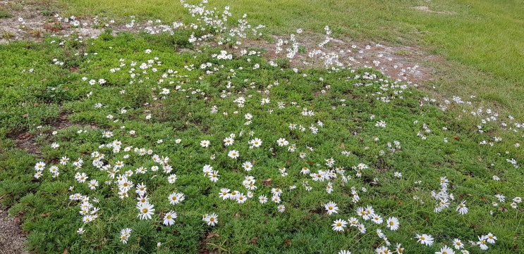  워킹맘 독박 육아 엄마들 힘내세요