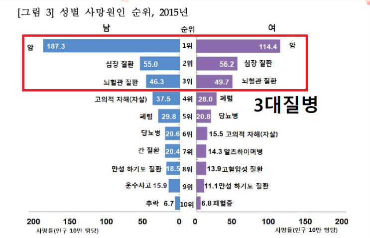  대전 세종 청주 증평 계룡 암 질병 상해 실손 의료비 보험 비교 분석상담
