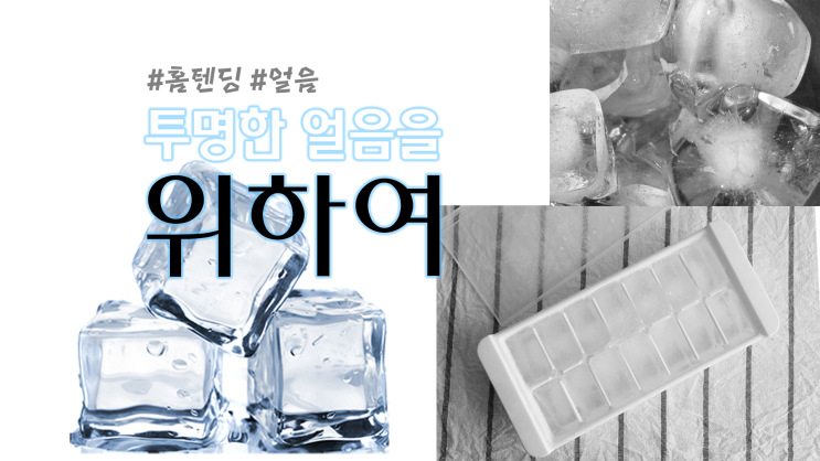  집에서 얼음을 만들자!  #홈텐딩