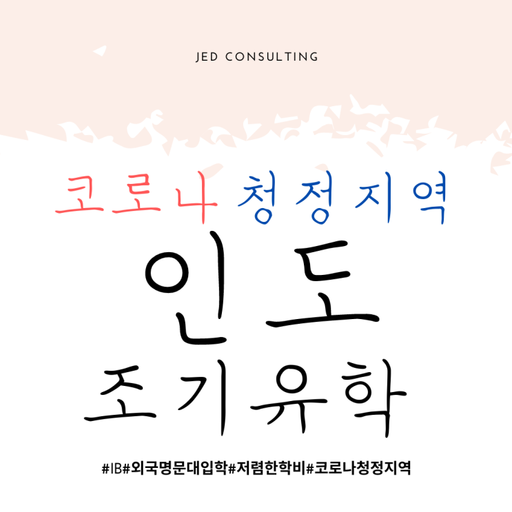  코로나 청정지역, 인도 India 왜 조기유학으로 떠오르는지