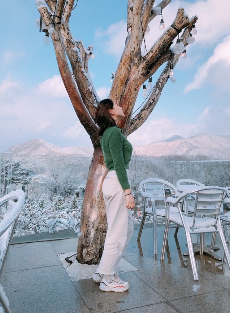  식물원 카페의 정석, 초록초록한 비루개 카페 #퍼플라이프