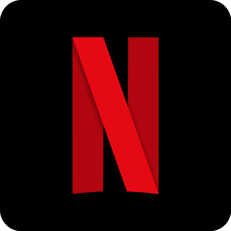  그때 샀어야 하는 주식 : Netflix and Chill