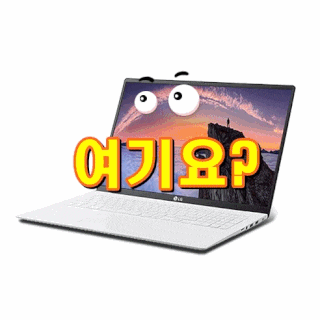 LG전자 2020 그램17 노트북 스노우 화이트 17Z90N i7-1065G7 43.1cm[내가선택한이유]