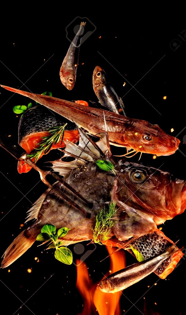  청담  SSG 마켓 뒷골목 이자카야 로바타 라이브라  robata libra 숯 원적외선 굽는 원시요리 직화 눈볼대 금태 일식 청담동 생선구이 해산물 보드카 위스키 양주 해산물