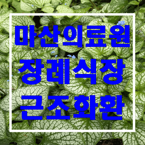  마산의료원 장례식장 근조화환 정확하고 빠른 배송 가능한 꽃집