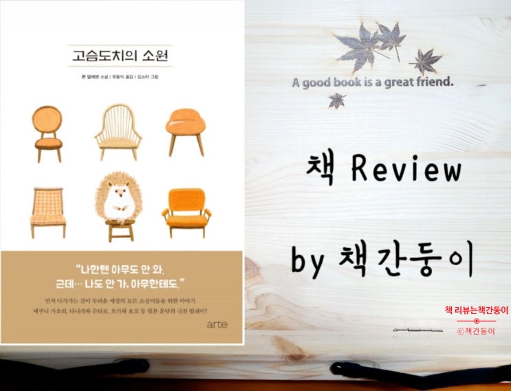  고슴도치의 소원, 혼자가 좋지만 외롭고 싶지는 않아