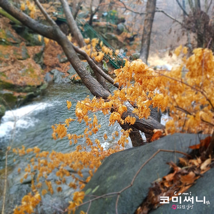 남양주 가볼 만한 곳 비 오는 날 수동계곡 (feat. 축령산 자연휴양림 둘러보기)