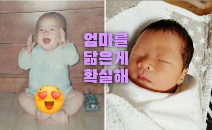 40편 "엄마를 닮은게 확실해" 40편 "엄마를 닮은게 확실해"