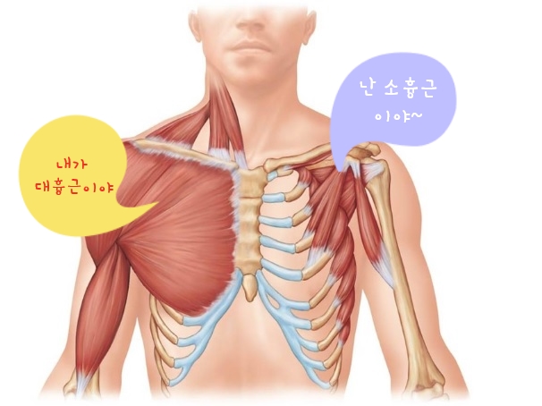  팔이저릴때 날 따라 해봐요~