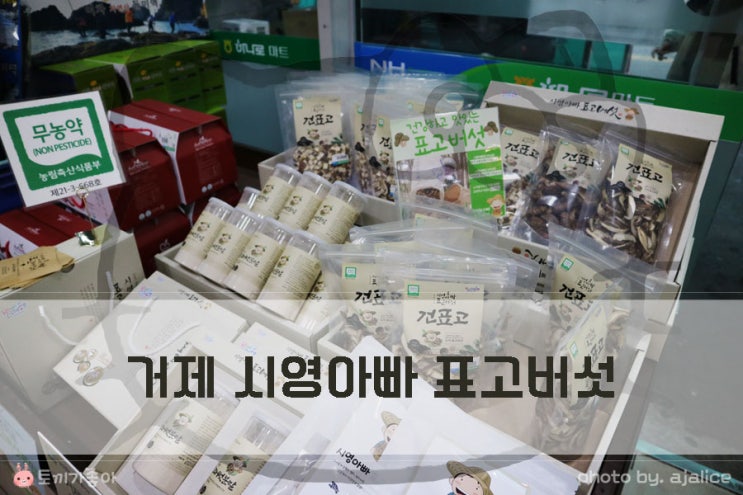 유기농 참나무 표고버섯 거제 시영아빠표고버섯 추천 유기농 참나무 표고버섯 거제 시영아빠표고버섯 추천