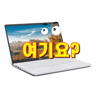 LG전자 2020 그램14 노트북 14ZD90N-VX50K (10세대 i5-1035G7 35.5cm)[내가선택한이유]