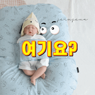  [제이앤제나] 허리에 무리없는 신생아부터 역류방지쿠션_다이노블루 역류방지쿠션 [내가 선택한 이유]