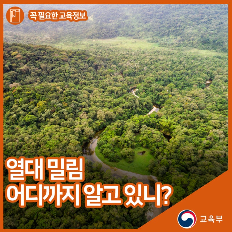 아마존의 눈물 속 열대 밀림 어디까지 알고 있나요 네이버 블로그