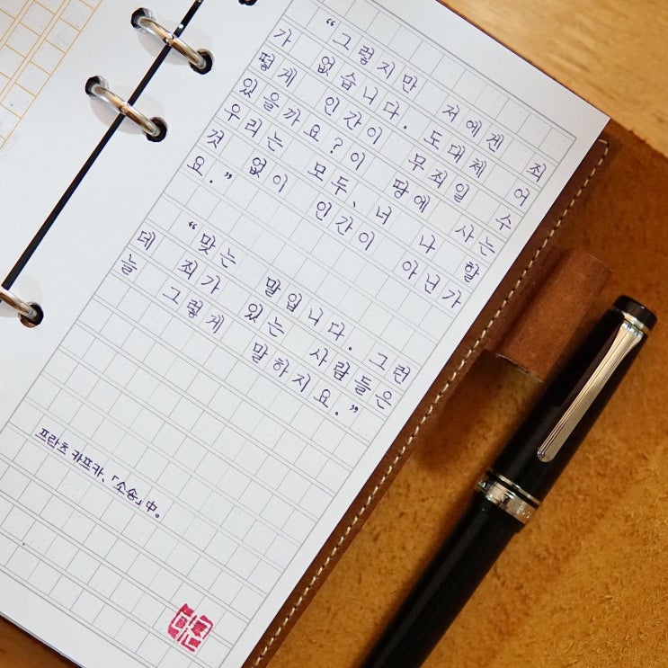  늘 그렇게 말하지요 (세일러 프로기어 은장 21k ef닙)