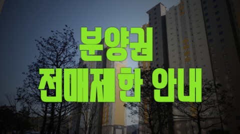  분양권 전매제한 이해