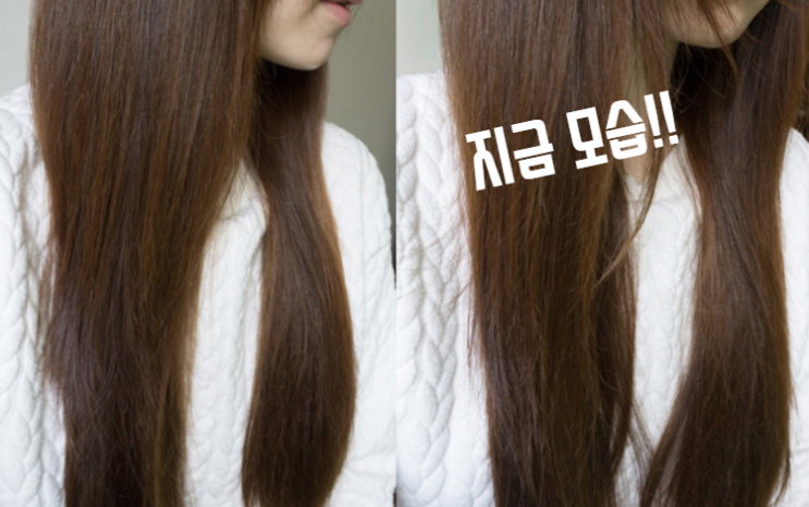  머리카락 영양제 두피케어 헤드스파 45일샴푸 썼어요