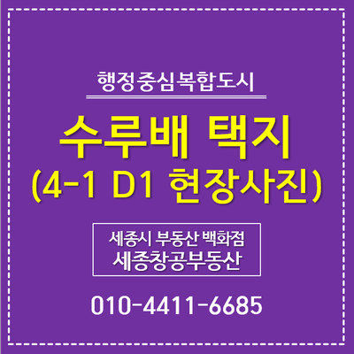  세종시 이주자택지, 4-1생활권 D1 수루배 택지 현장