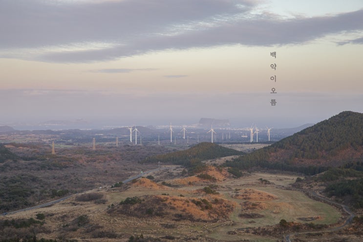  제주 백약이오름 (제주 가볼만한곳 / 제주여행)