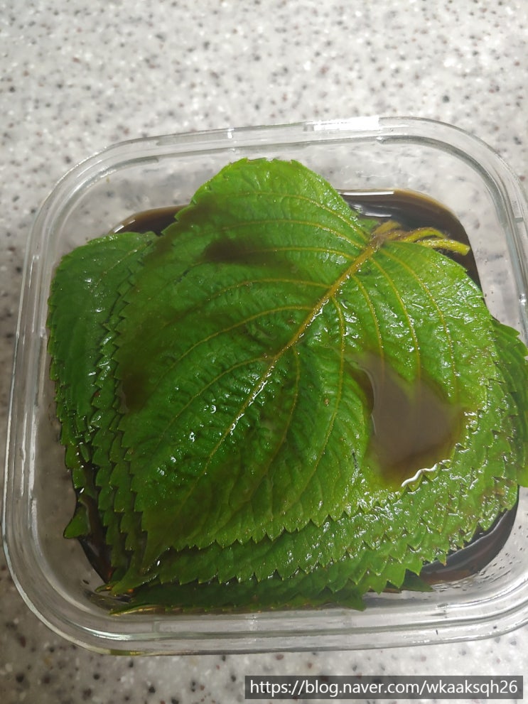  [깻잎 장아찌]깻잎 반찬/깻잎 장아찌 만들기/간단 반찬/간단 요리/고기에 싸먹는/밥도둑 반찬