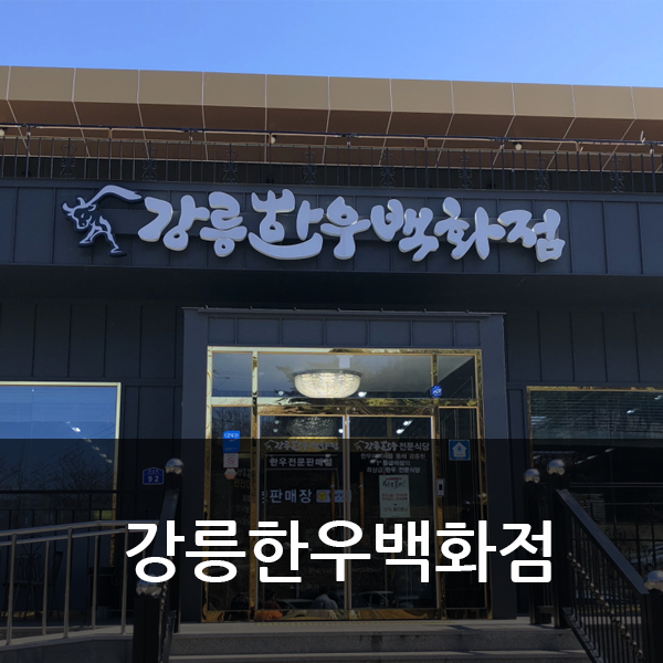  강릉한우판매장 강릉한우백화점