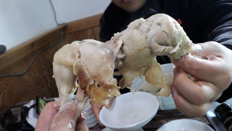  면맛에입맛이좋아 서귀포 성산포 방파제 근처 맛있는 고기국수,닭국수 착한 맛집 현지인이 추천하는 가성비 만점 국수집