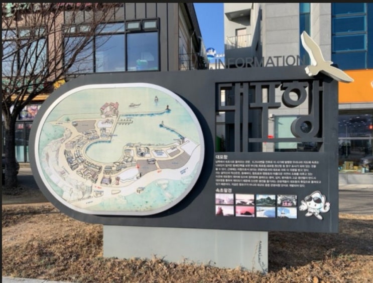  속초 횟집 인심 너무 좋잖아