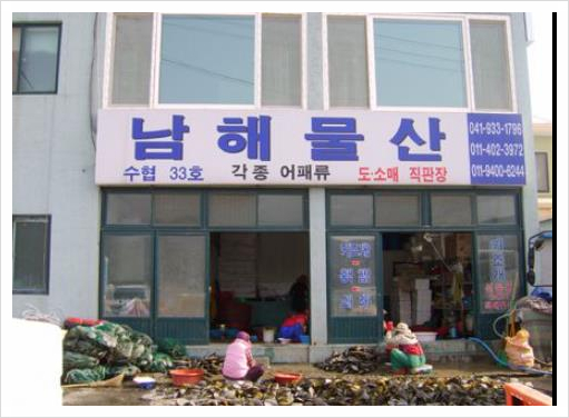  6시내고향 수요일엔수산물 보령 오천항 키조개 위치 3월 11일 방송