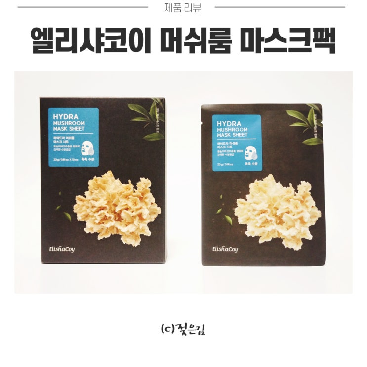 마스크팩추천 엘리샤코이 머쉬룸 마스크팩으로 매일 관리하기 마스크팩추천 엘리샤코이 머쉬룸 마스크팩으로 매일 관리하기