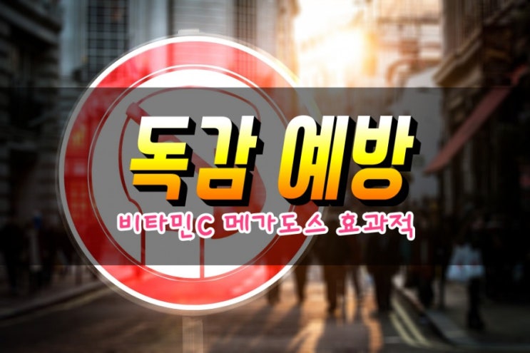  비타민C 메가도스 독감 예방에 효과적