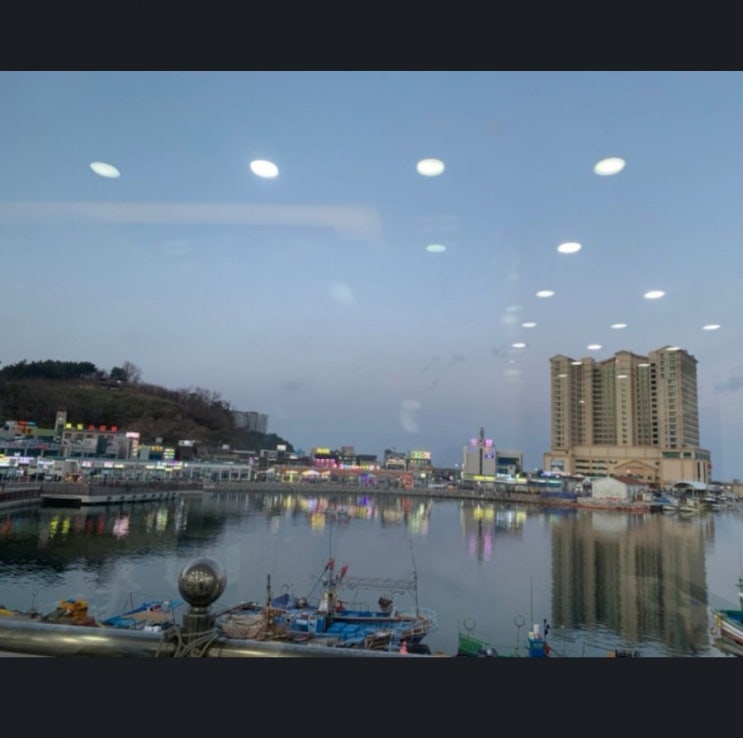 화려한 불빛과 신선한대게