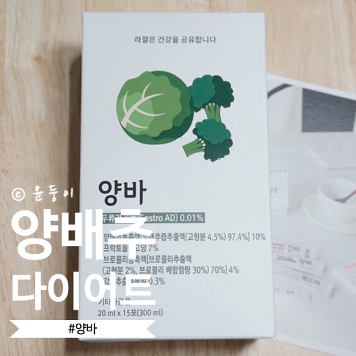 [위 건강] 양바 - 양배추 다이어트
