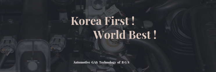  가솔린 차량 LPG 튜닝 연비는??