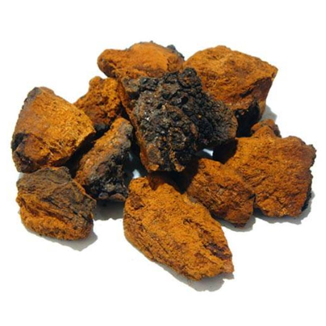 (로켓배송)고미네 차가버섯, 1kg, 1개 추천해요 (로켓배송)고미네 차가버섯, 1kg, 1개 추천해요