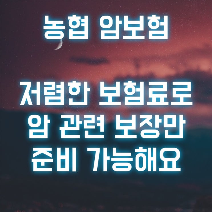  농협손보 저렴한 암보험!! 갱신형 비갱신형 20대/30대/40대/50대/60대/70세