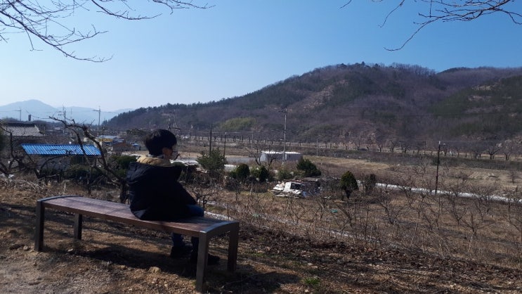  일상 - 날씨가 좋으면 찾아가겠어요