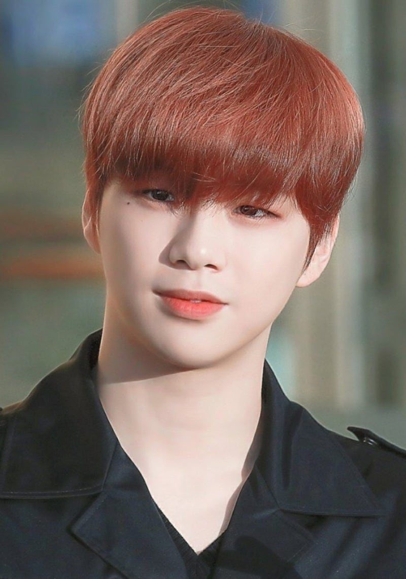 Kang Daniel Tops Idol Chart for 102 Consecutive Weeks: Profile, Past Photos, Dating Rumors, and More