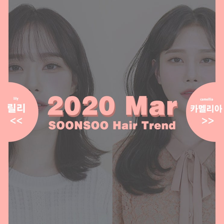 [여자헤어추천] 순수 2020년 3월 헤어트렌드릴리&카멜리아